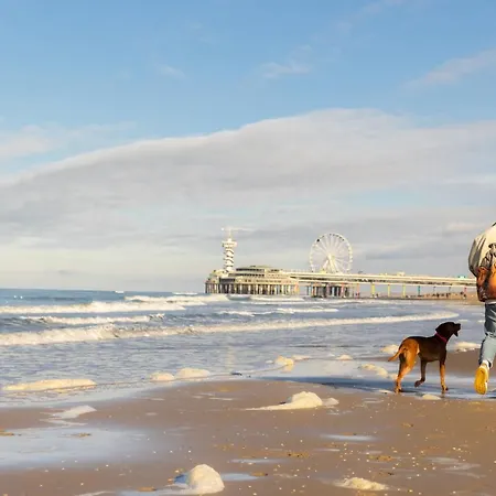 Ocean House Scheveningen La Haye